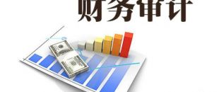 企業(yè)為什么要做財(cái)務(wù)審計(jì)？